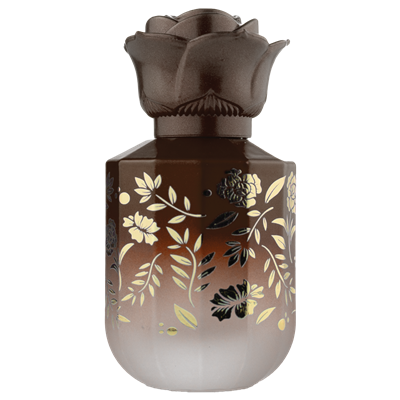 <center>1.7 oz. Ombre Brown Black Royal Spray Bottle </center>